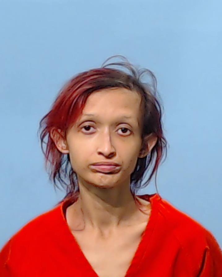 Canales, Gabrielle Nicole booking photo