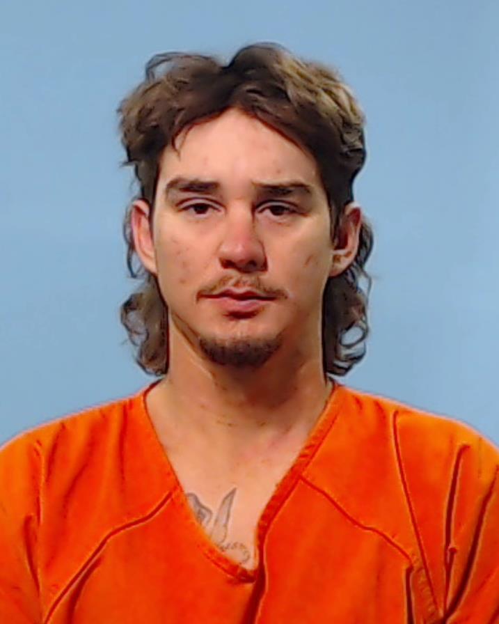 SHAW, DOMINIC booking photo