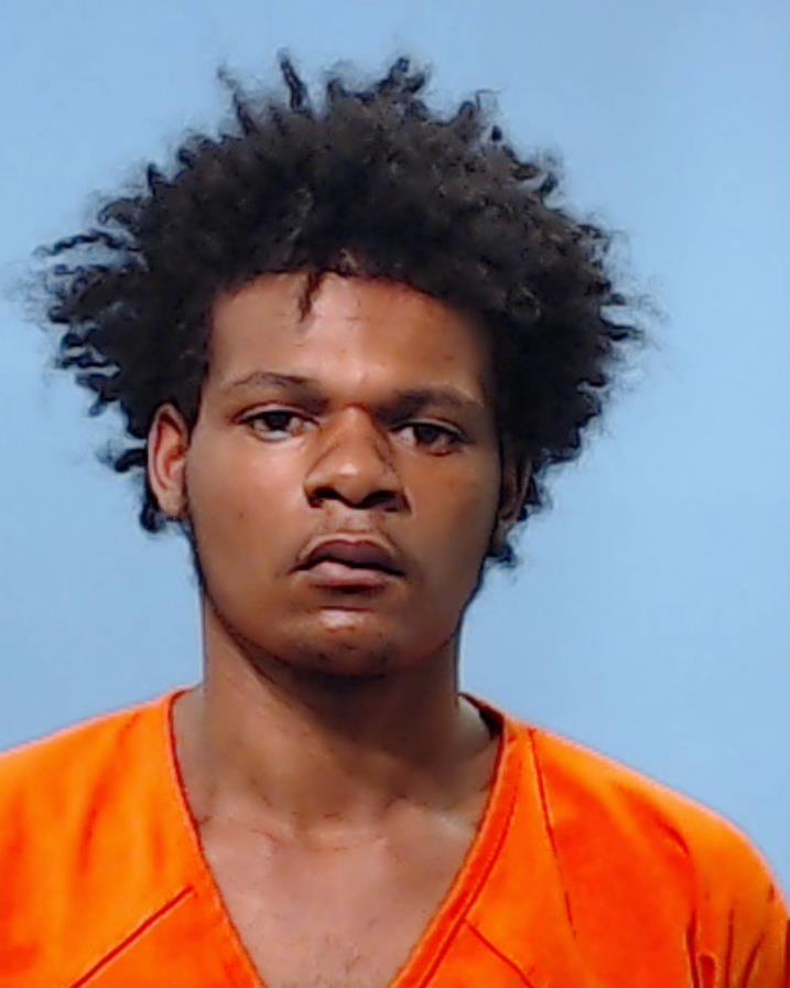 TURNER, ARI GENTRY booking photo