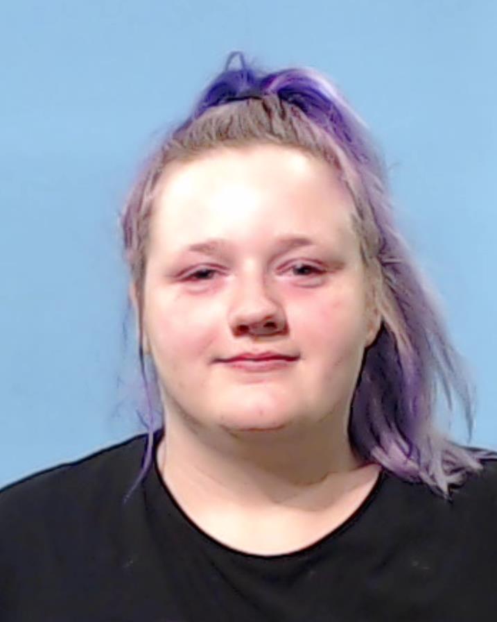 Harlan, Hannah Diane booking photo