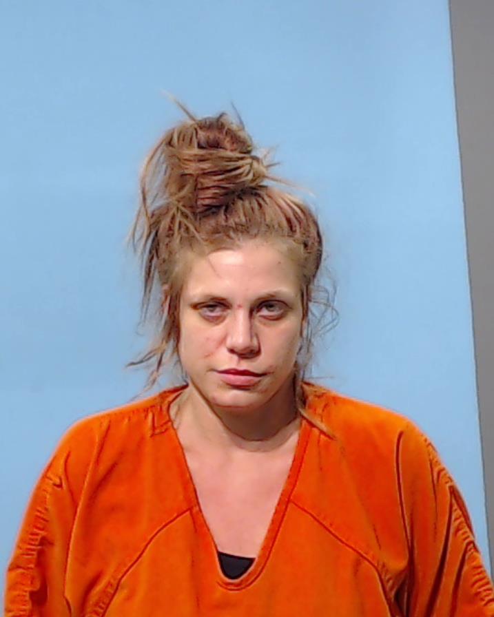 Palmer, Dana Ann booking photo