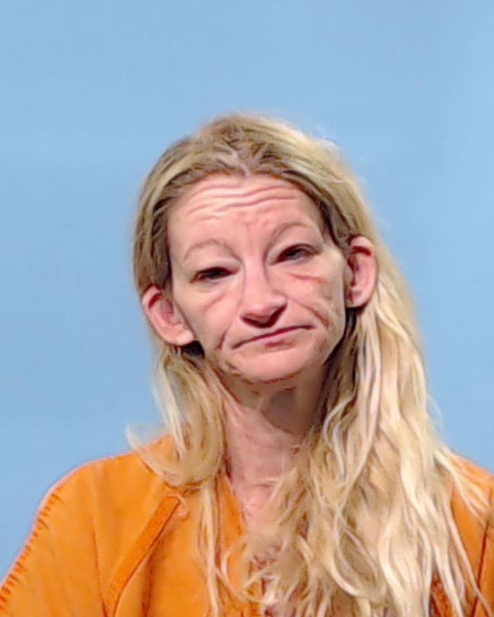 Hudson, Robin Elizabeth booking photo