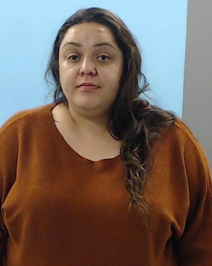 PORTILLO, PATSY VIRIDIANA booking photo