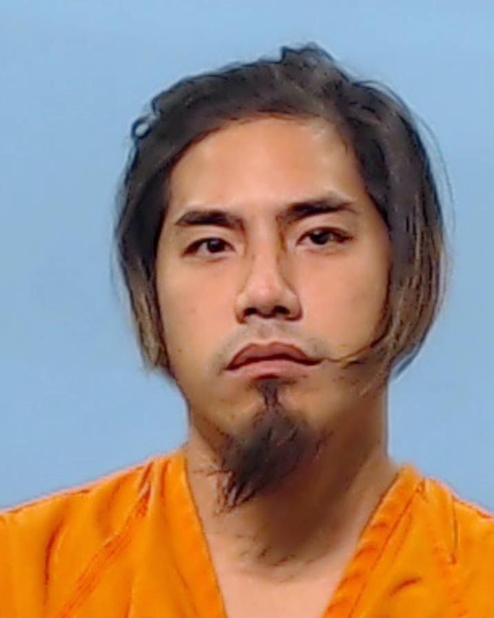 TRUONG, STEVE HOANG arrested by Brazoria County SO/PD