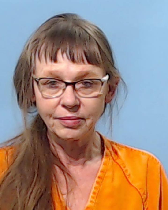 Sevier, Tonya Lynn booking photo