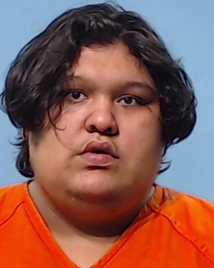 Parral, Christian Alejandro booking photo