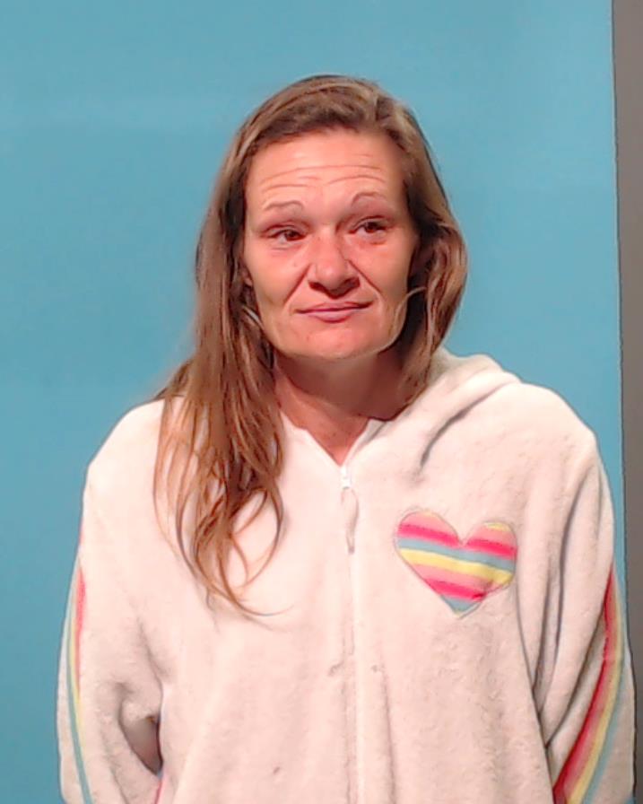 BAILEY, HEATHER MICHELLE booking photo