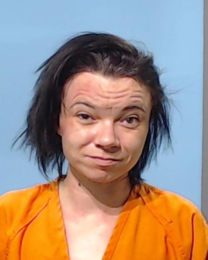 Hollis, Rebecca Ann booking photo