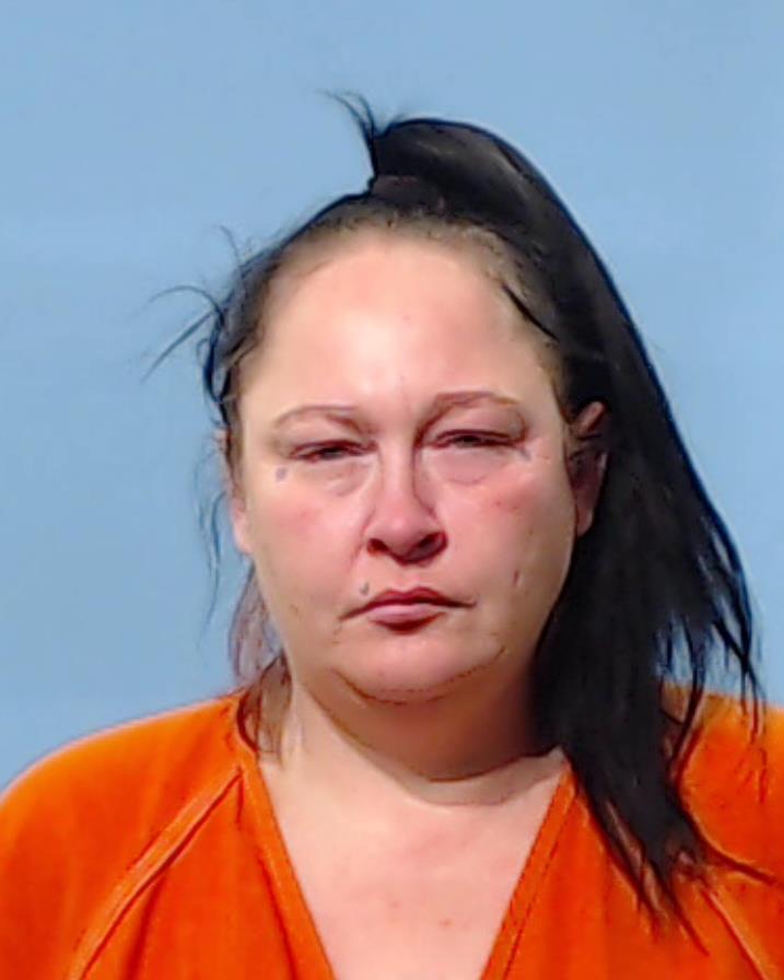 Fain, Karrie Ann booking photo