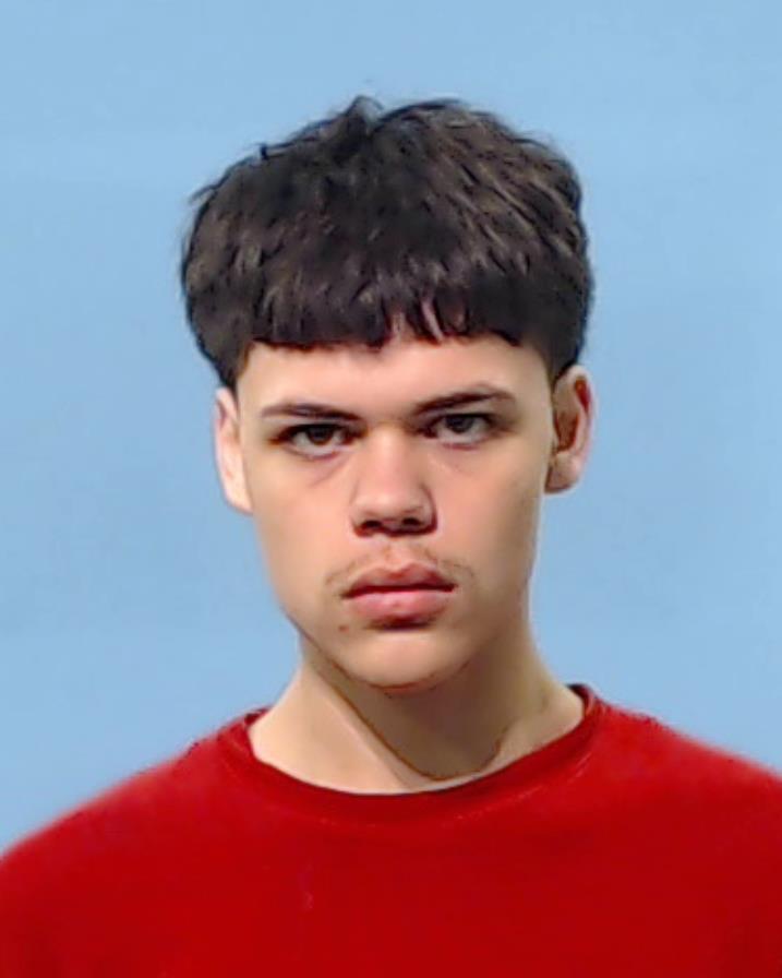 Johnson, Nathan Patrick booking photo