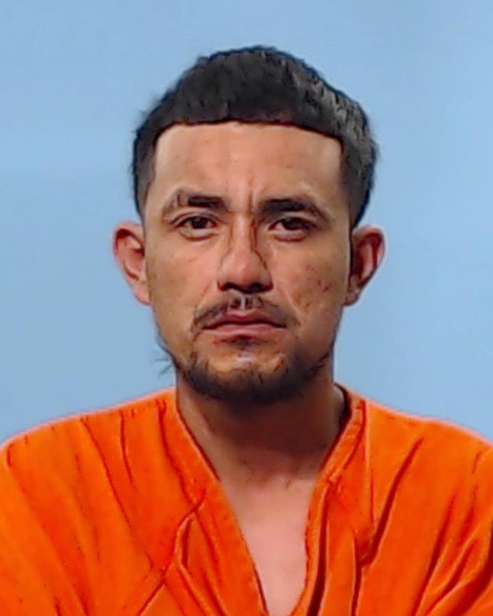 MORIN, EMMANUEL booking photo