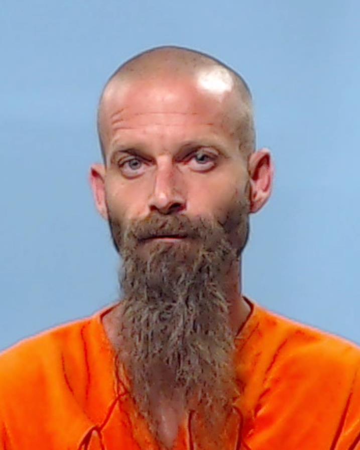 NELSON, NICHOLAS booking photo