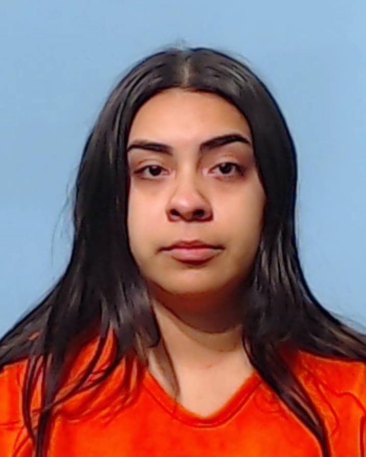 LARES, ANA KAREN booking photo