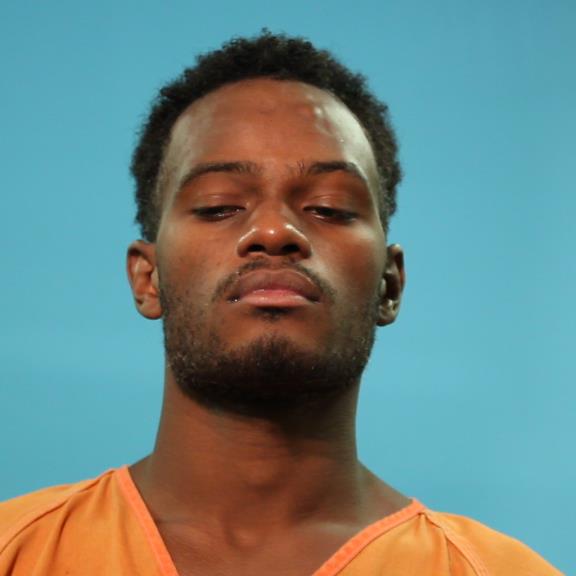 Ferguson, Elijah Marcel arrested by Brazoria County SO/PD