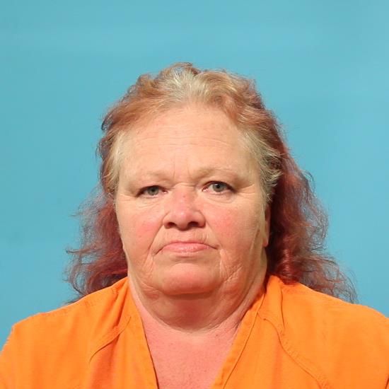 MITCHAM, SUZANNE FRANCIS booking photo