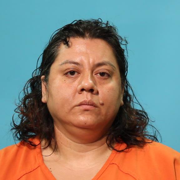 Perfecto, Erica Elaine booking photo