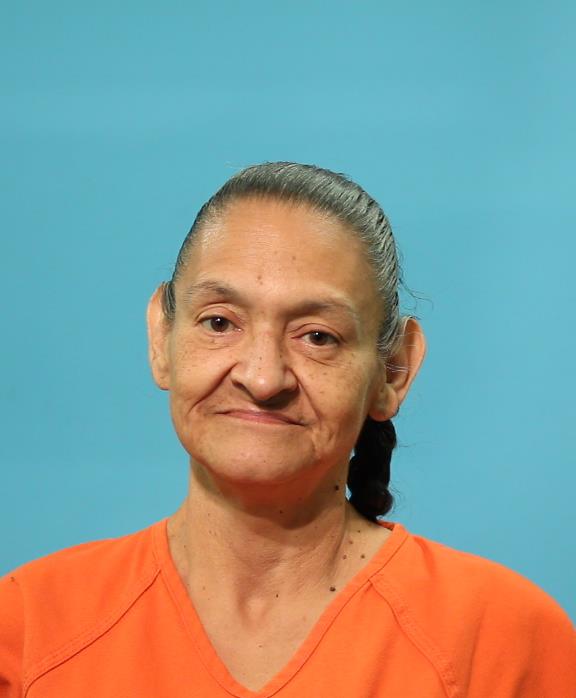 Trevino, Theresa Calzada booking photo