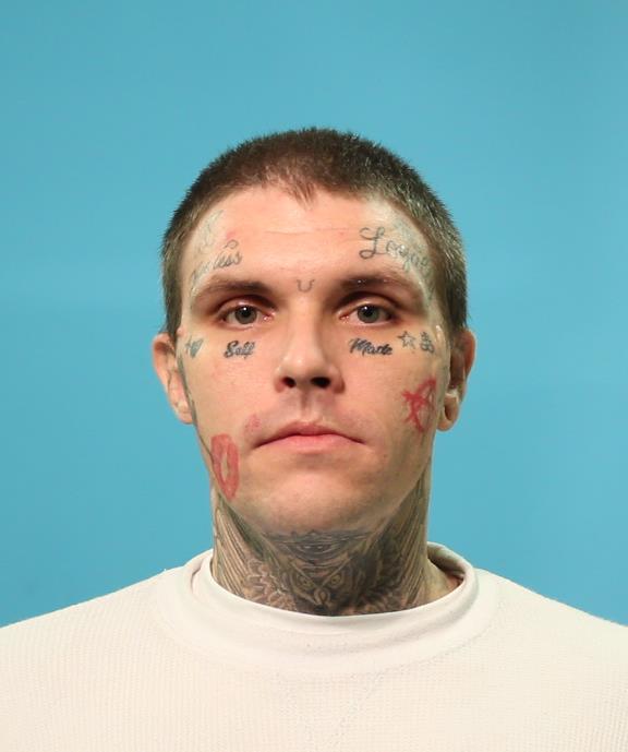 Litnianski, James Mervin booking photo