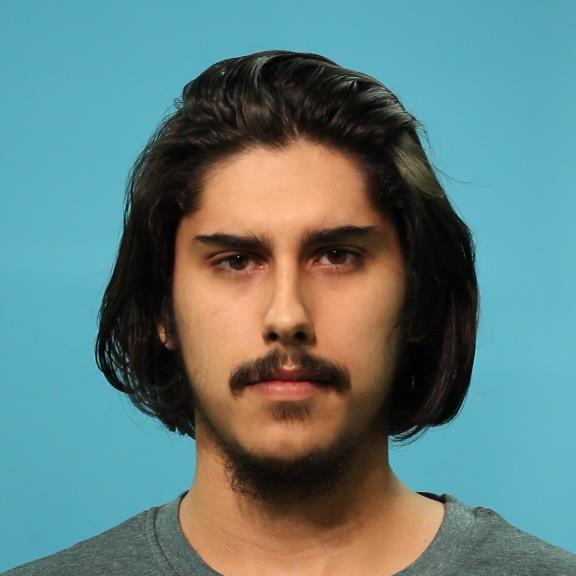 Collins, Ashton Nemo booking photo