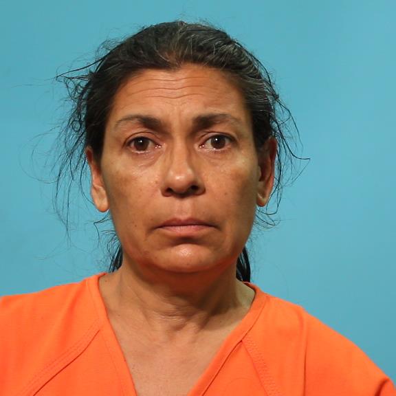 Molina, Lisa Ann booking photo