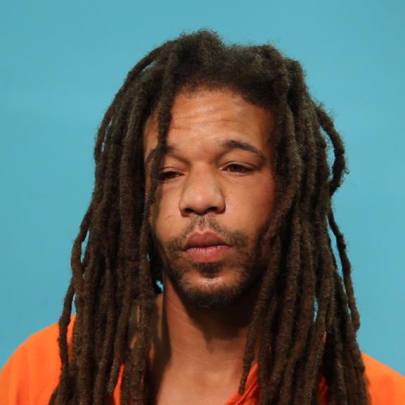 PAIGE, MICHAEL booking photo