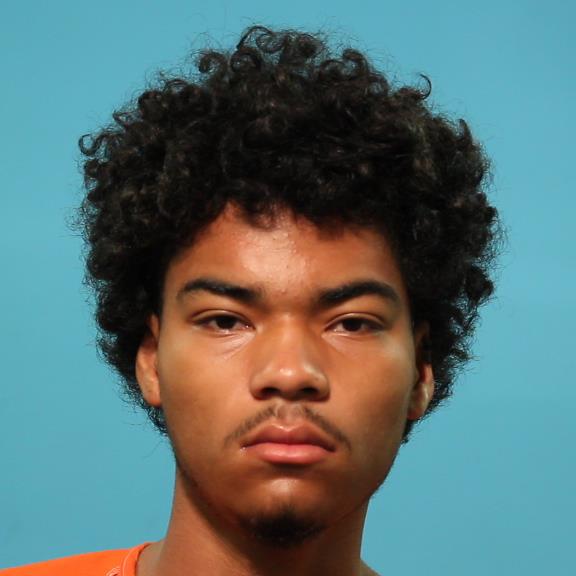 NARVAEZ, ANTHONY DAVID booking photo