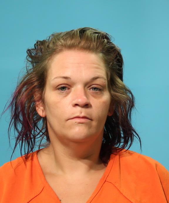 HILDEBRANT, ELLEN booking photo