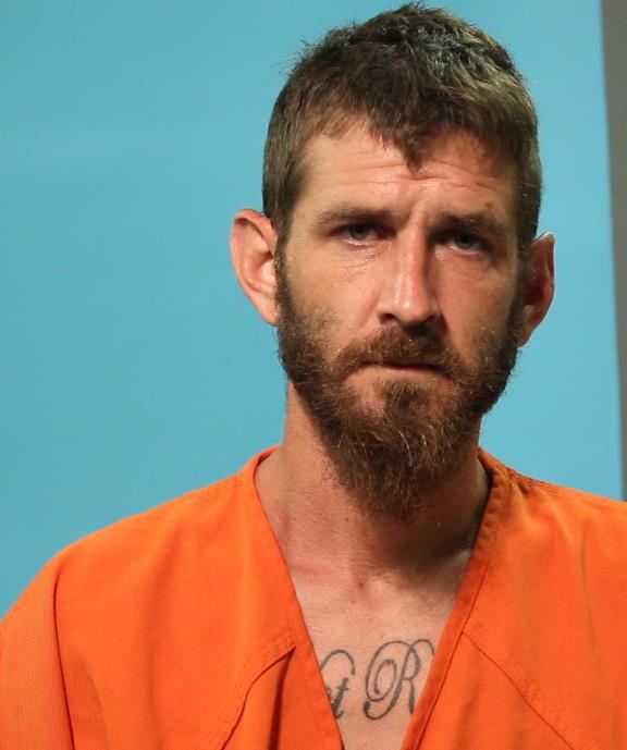 Pollack, Nathan booking photo