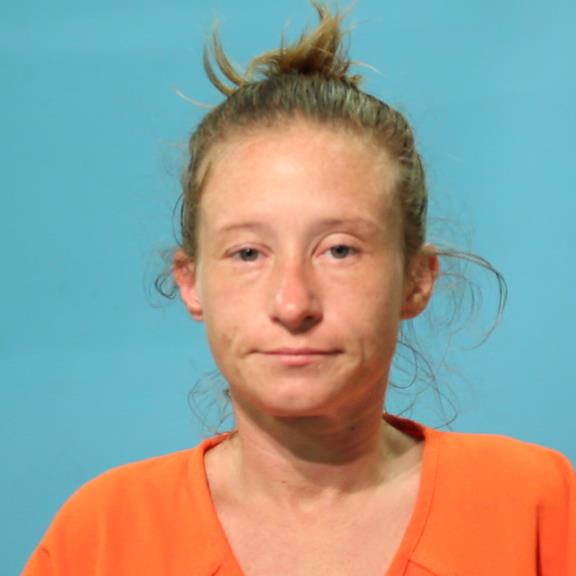 Bettinger, Sarah Elizabeth booking photo