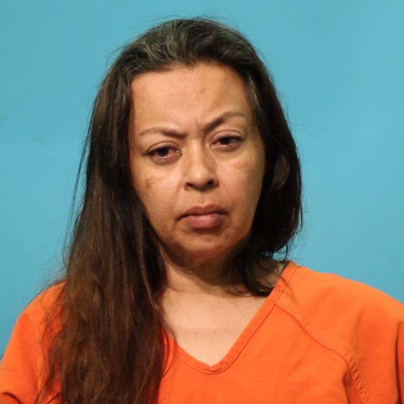SALAS, PATRICIA ELAINE booking photo