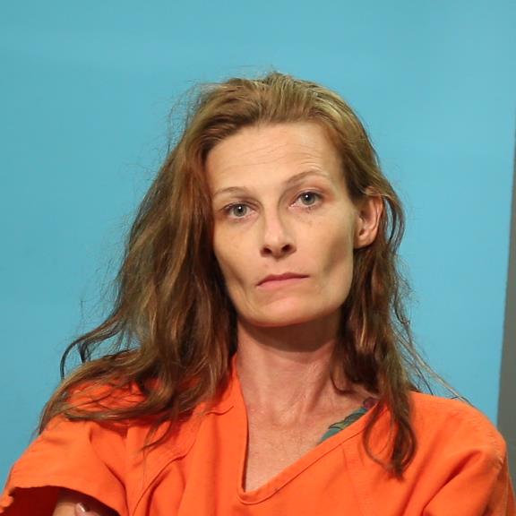 Taylor, Leslie Ann booking photo