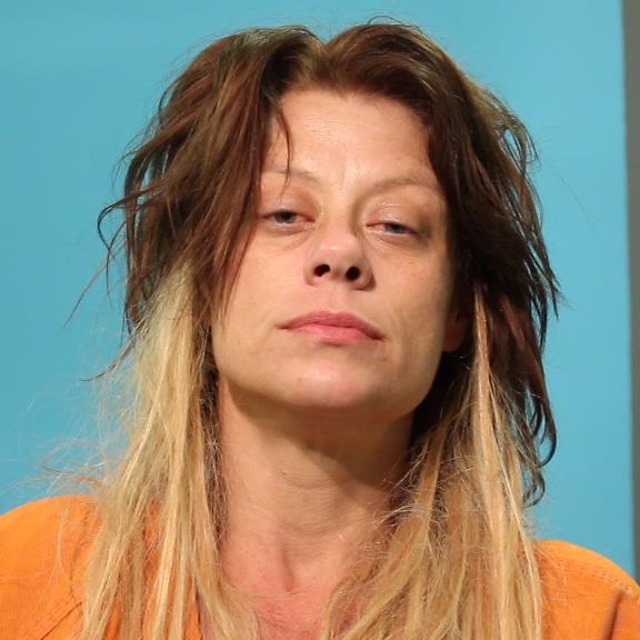 Schomburg, Brandy Michelle booking photo