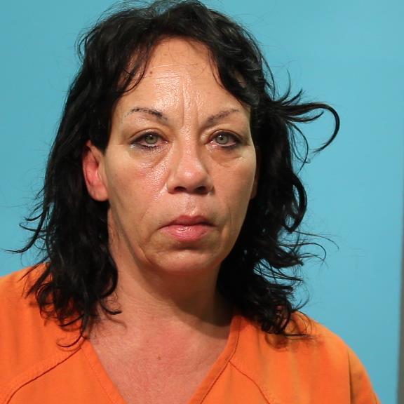 Cook, Frances Diane booking photo