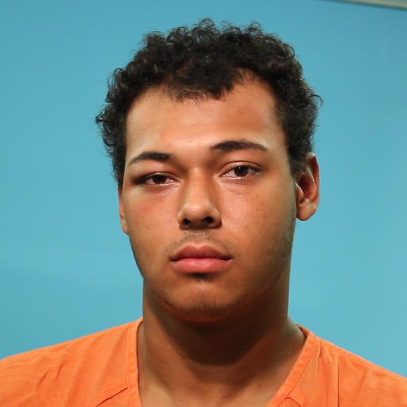 Johnson, Trooper booking photo