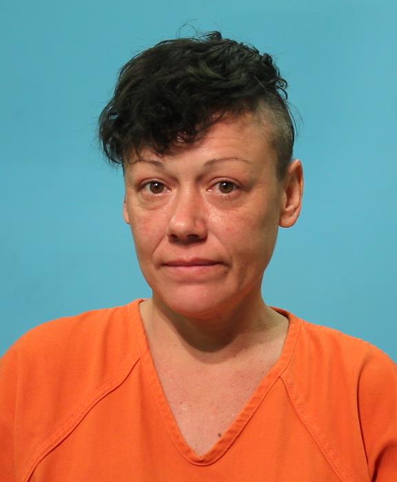 Jamison, Brandi Lee booking photo