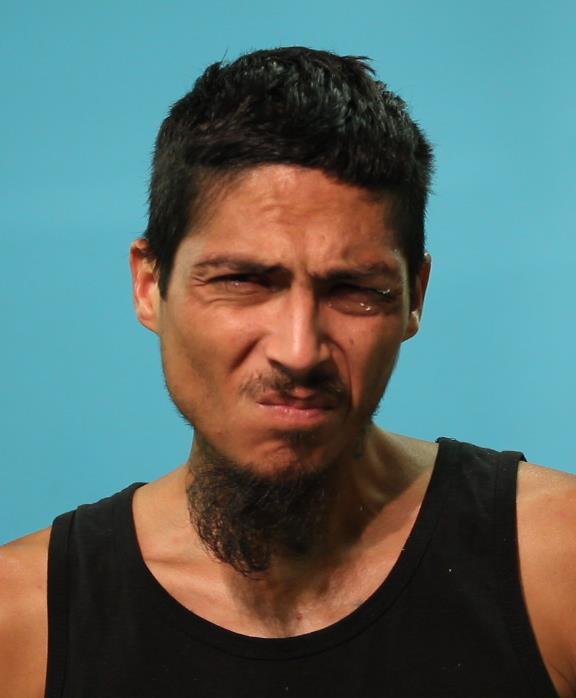 REYES, MICHAEL AARON booking photo