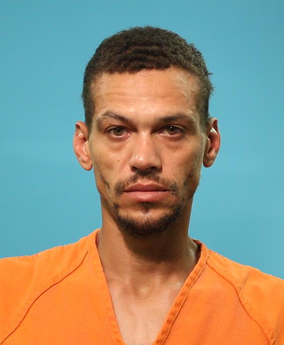 WILLIAMS, MICHAEL DEWAYNE booking photo