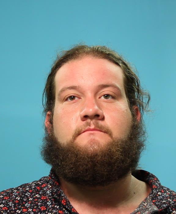 WISE, DEVON ALLEN booking photo