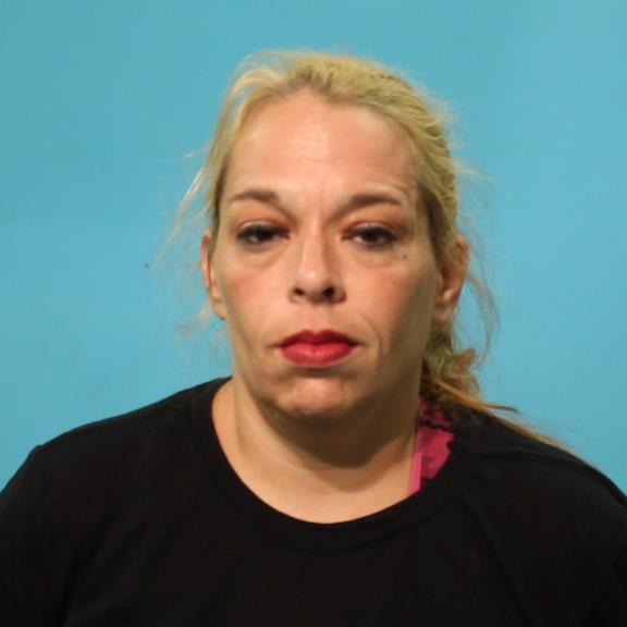 WISE, TRACY LYN arrested by Brazoria County SO/PD