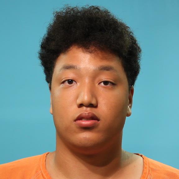 Lusko, Isaiah Joshua Michael arrested by Brazoria County SO/PD