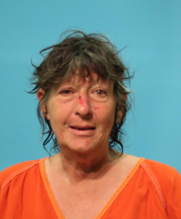 Coleman, Janice Lynn booking photo