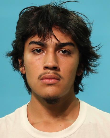 ALANIZ, NATHANIEL booking photo