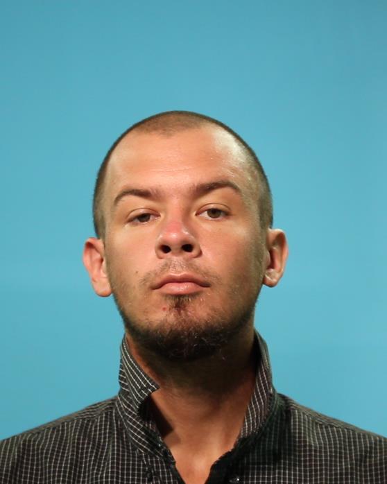 ROBINSON, GARRETT STERLING arrested by Brazoria County SO/PD