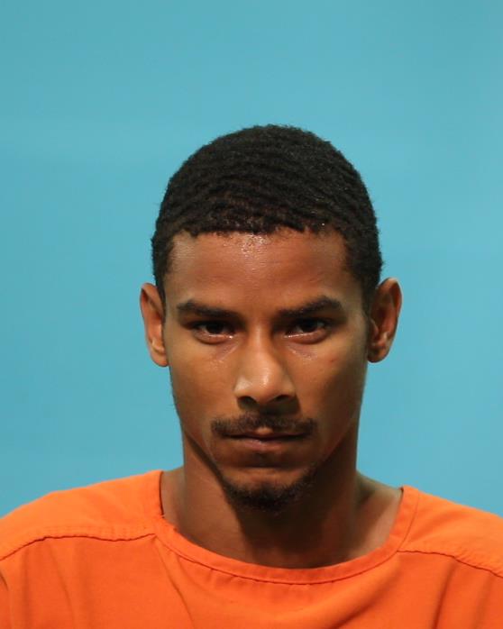 STERLING, DANIKA booking photo