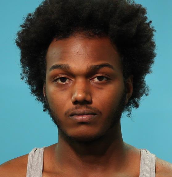 LANZ, EFRAIN BARBARO booking photo