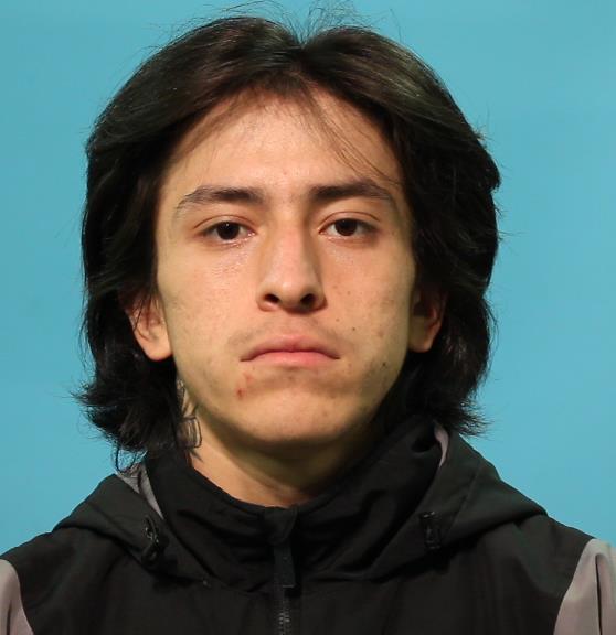 SILVA, AUSTYN CRISTEN booking photo