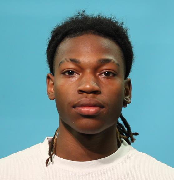 PIPKINS, DE'MARQUES booking photo