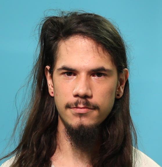 GAYLE, TOBY booking photo