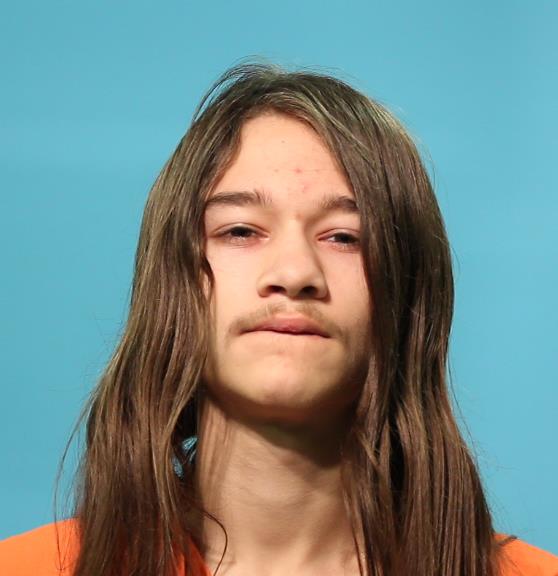 HORTON, JUSTIN TANNER booking photo