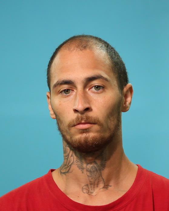 Small, Dylan Ryan booking photo